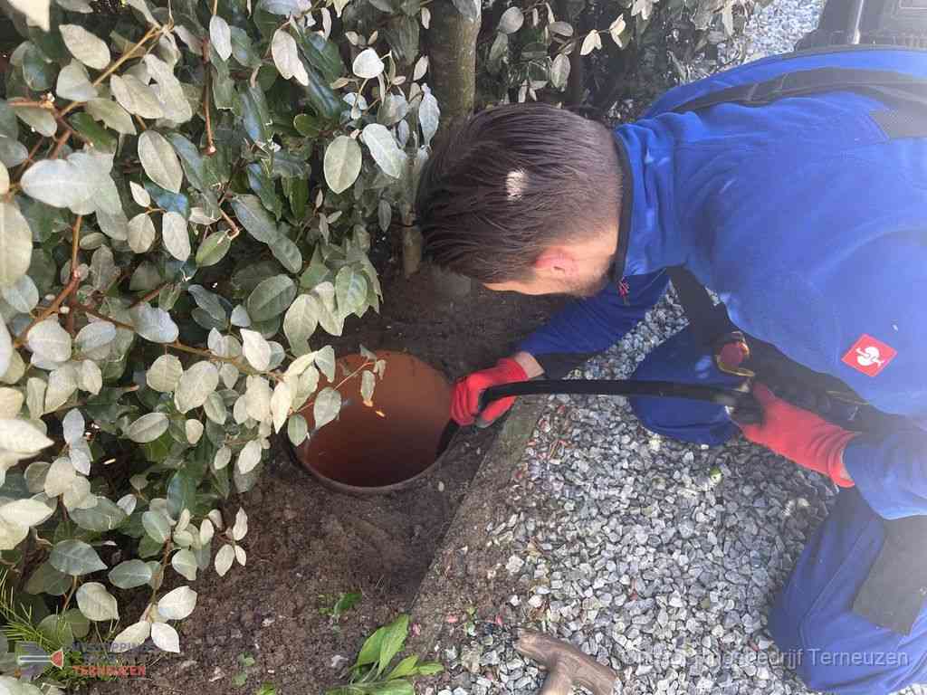 Rioolvliegjes Terneuzen Rioolvliegjes Terneuzen